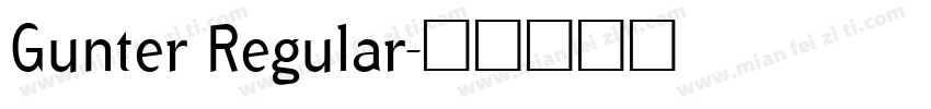 Gunter Regular字体转换